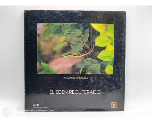 Pantanos De Centla El Eden Recuperado Isabel Arvide 1996 — Coleccionables vintage, años 90s