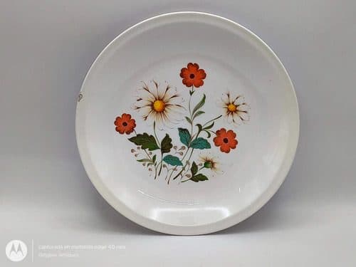 Plato Antiguo Porcelana Mediano Flores San Isidro Usado Blanco Floreado — Decoración vintage