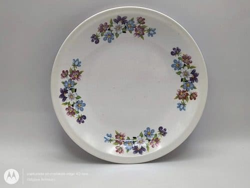 Plato Llano De Porcelana Borde Floral Nueva San Isidro 60's Colores Floreado